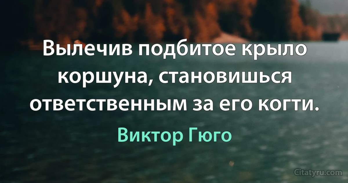 Вылечив подбитое крыло коршуна, становишься ответственным за его когти. (Виктор Гюго)