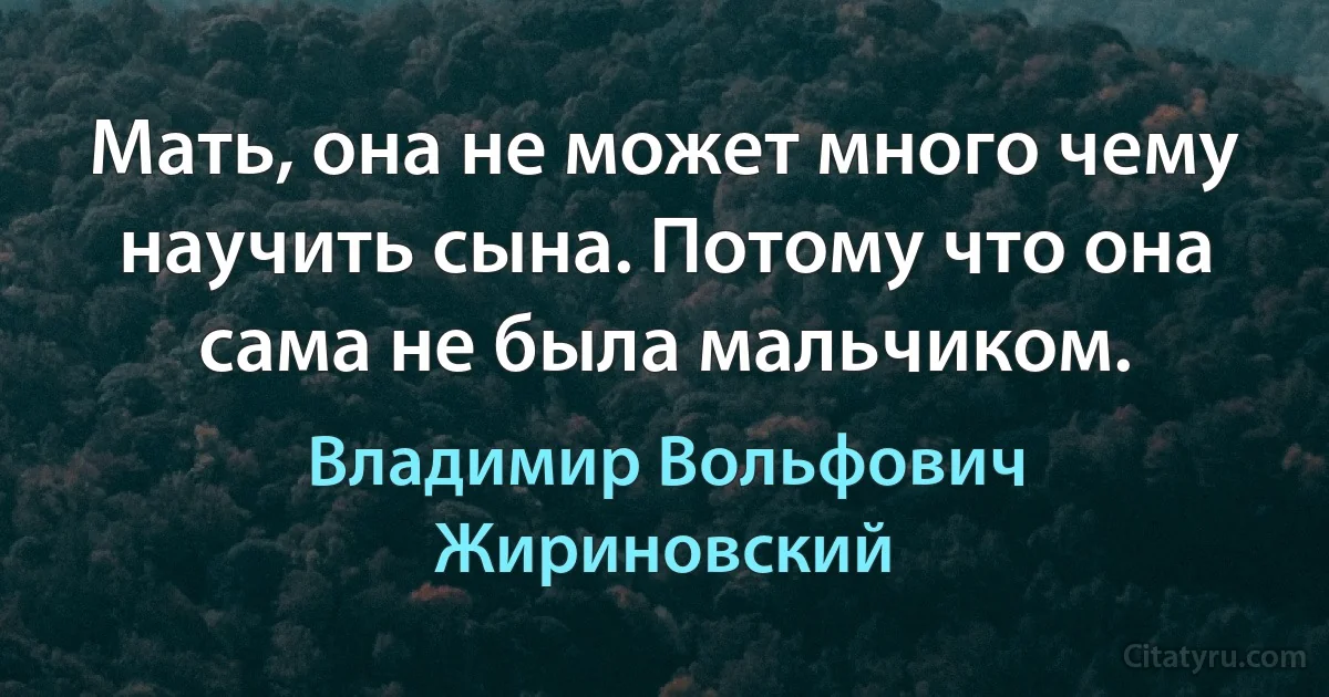 Мать, она не может много чему научить сына. Потому что она сама не была мальчиком. (Владимир Вольфович Жириновский)