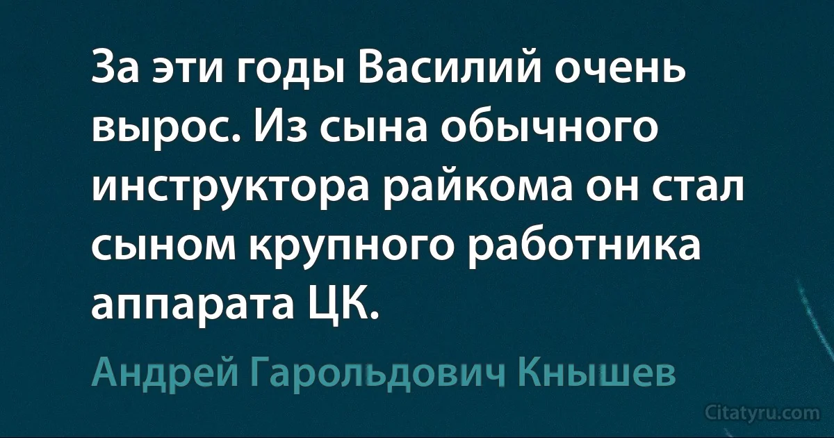 За эти годы Василий очень вырос. Из сына обычного инструктора райкома он стал сыном крупного работника аппарата ЦК. (Андрей Гарольдович Кнышев)