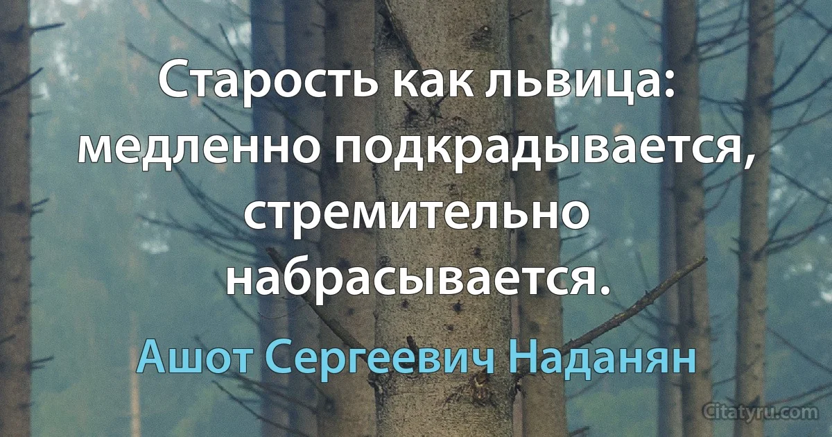 Старость как львица: медленно подкрадывается, стремительно набрасывается. (Ашот Сергеевич Наданян)