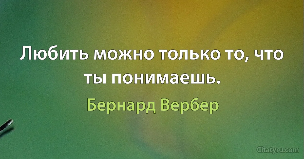 Любить можно только то, что ты понимаешь. (Бернард Вербер)