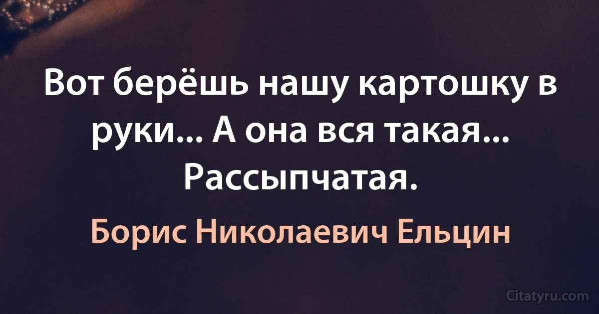 Вот берёшь нашу картошку в руки... А она вся такая... Рассыпчатая. (Борис Николаевич Ельцин)