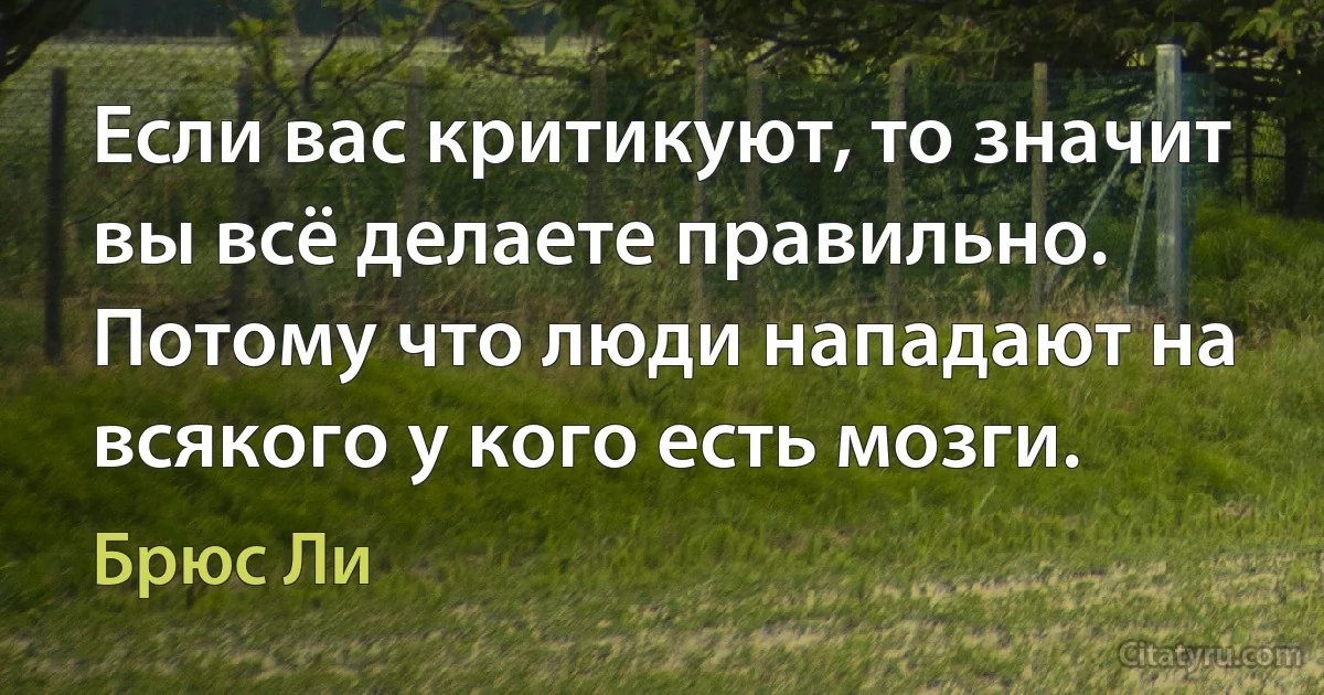 Если вас критикуют, то значит вы всё делаете правильно. Потому что люди нападают на всякого у кого есть мозги. (Брюс Ли)