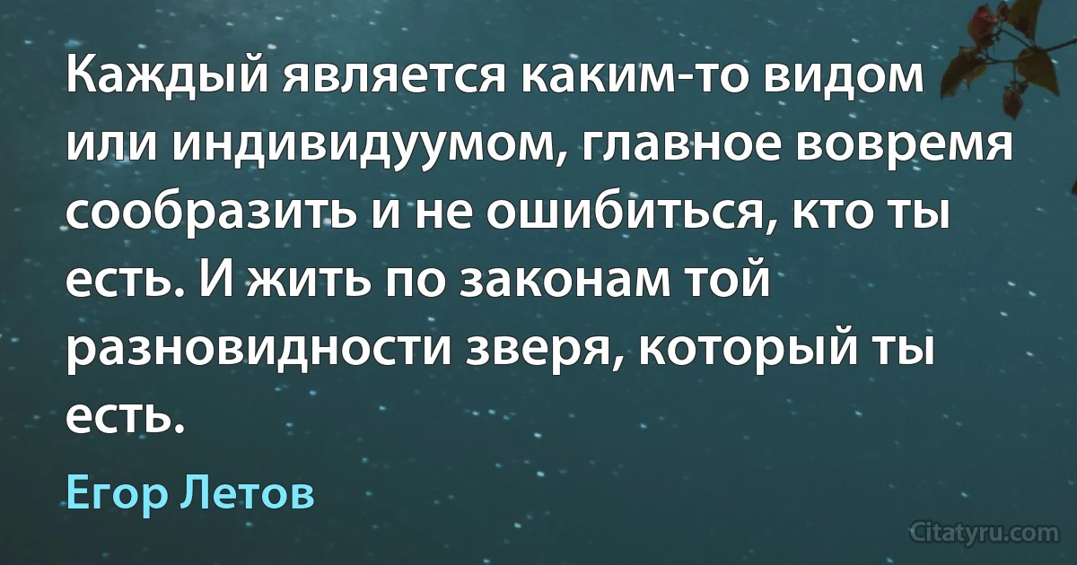 Каждый является каким-то видом или индивидуумом, главное вовремя сообразить и не ошибиться, кто ты есть. И жить по законам той разновидности зверя, который ты есть. (Егор Летов)