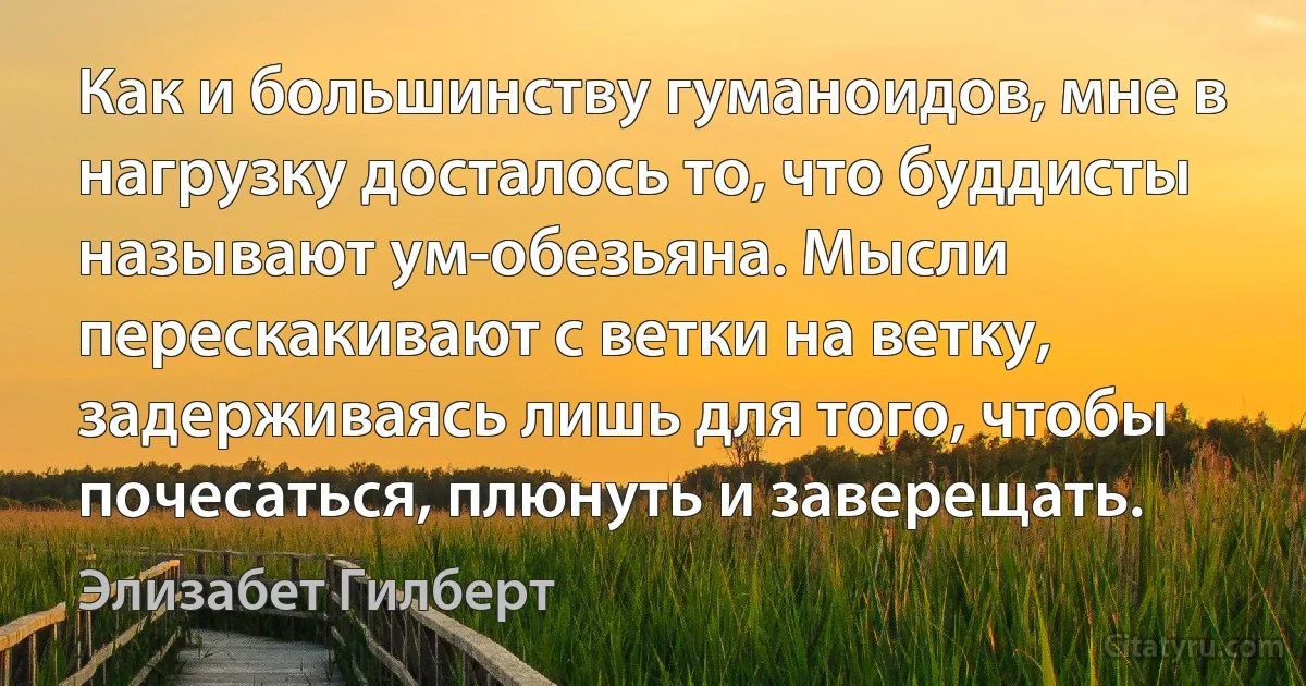 Как и большинству гуманоидов, мне в нагрузку досталось то, что буддисты называют ум-обезьяна. Мысли перескакивают с ветки на ветку, задерживаясь лишь для того, чтобы почесаться, плюнуть и заверещать. (Элизабет Гилберт)