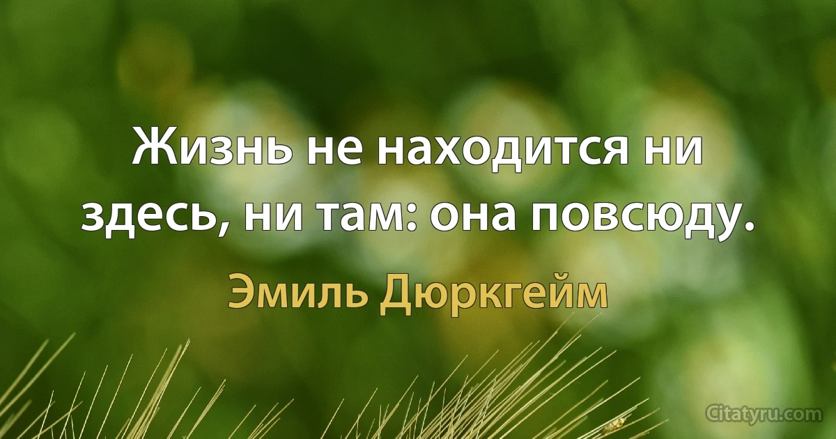 Жизнь не находится ни здесь, ни там: она повсюду. (Эмиль Дюркгейм)