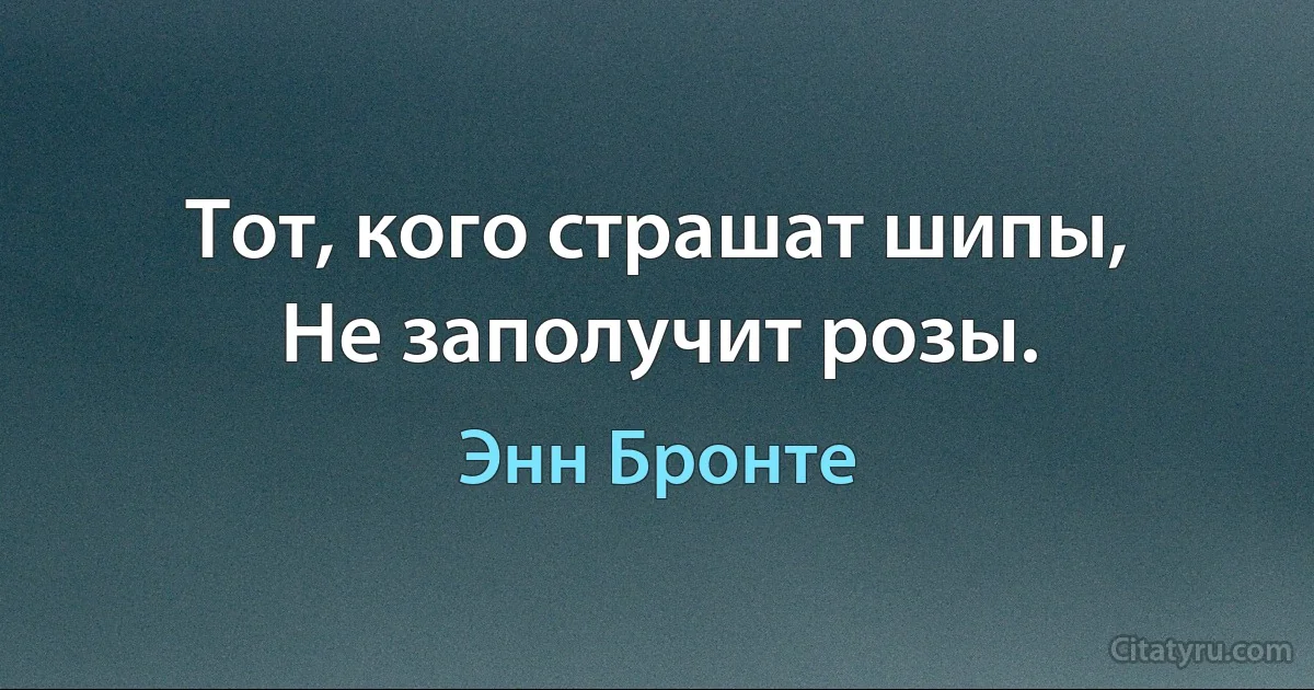 Тот, кого страшат шипы,
Не заполучит розы. (Энн Бронте)