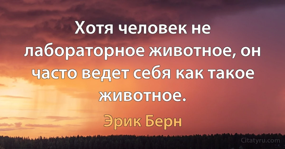 Хотя человек не лабораторное животное, он часто ведет себя как такое животное. (Эрик Берн)