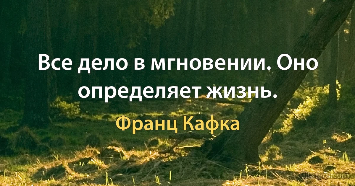 Все дело в мгновении. Оно определяет жизнь. (Франц Кафка)