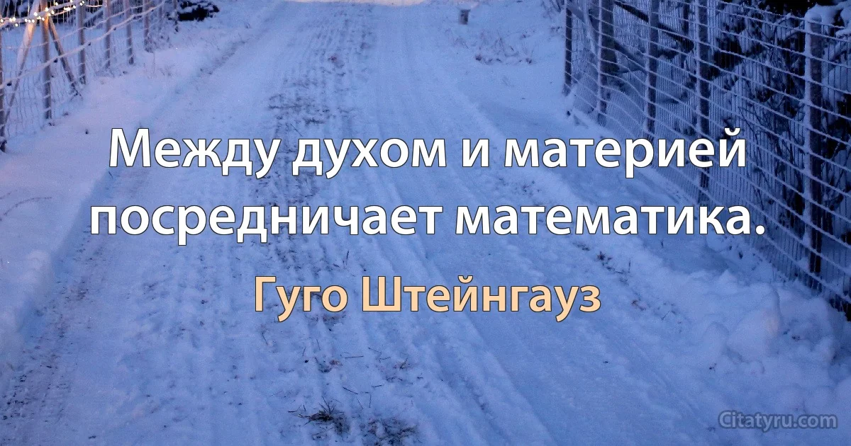 Между духом и материей посредничает математика. (Гуго Штейнгауз)