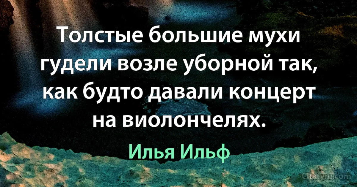 Толстые большие мухи гудели возле уборной так, как будто давали концерт на виолончелях. (Илья Ильф)