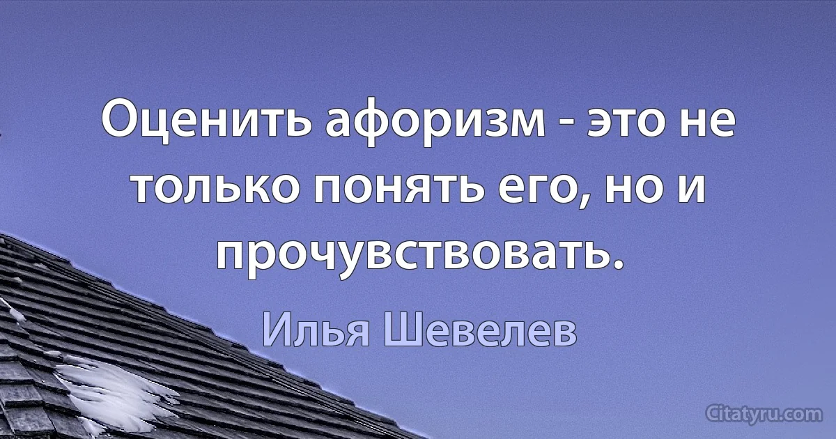 Оценить афоризм - это не только понять его, но и прочувствовать. (Илья Шевелев)