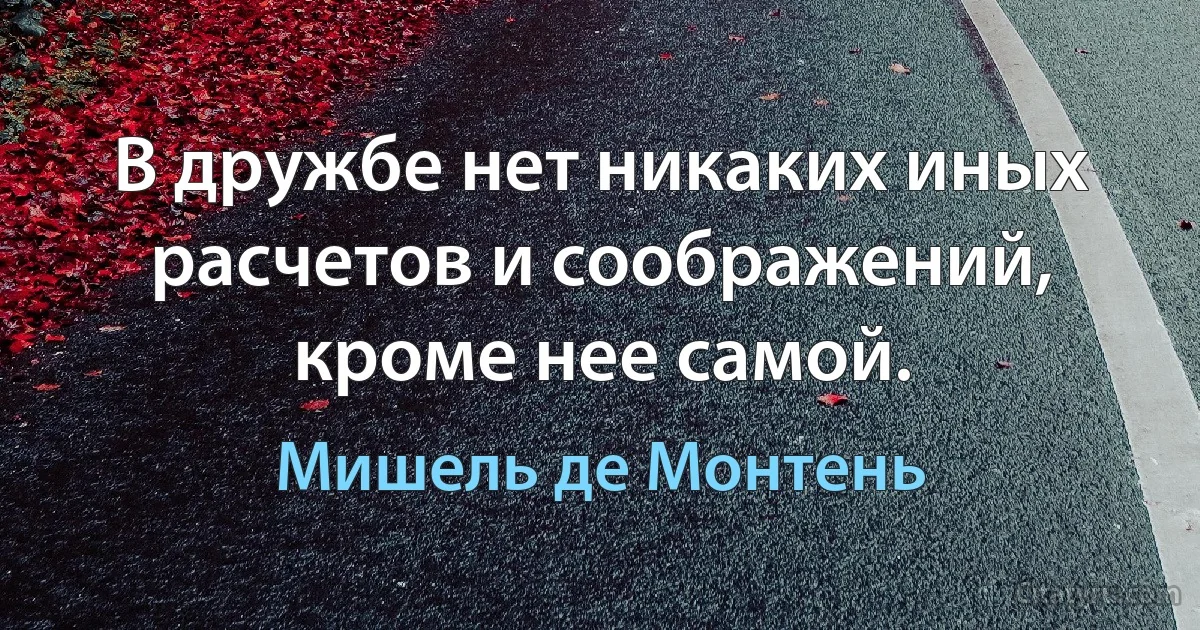 В дружбе нет никаких иных расчетов и соображений, кроме нее самой. (Мишель де Монтень)