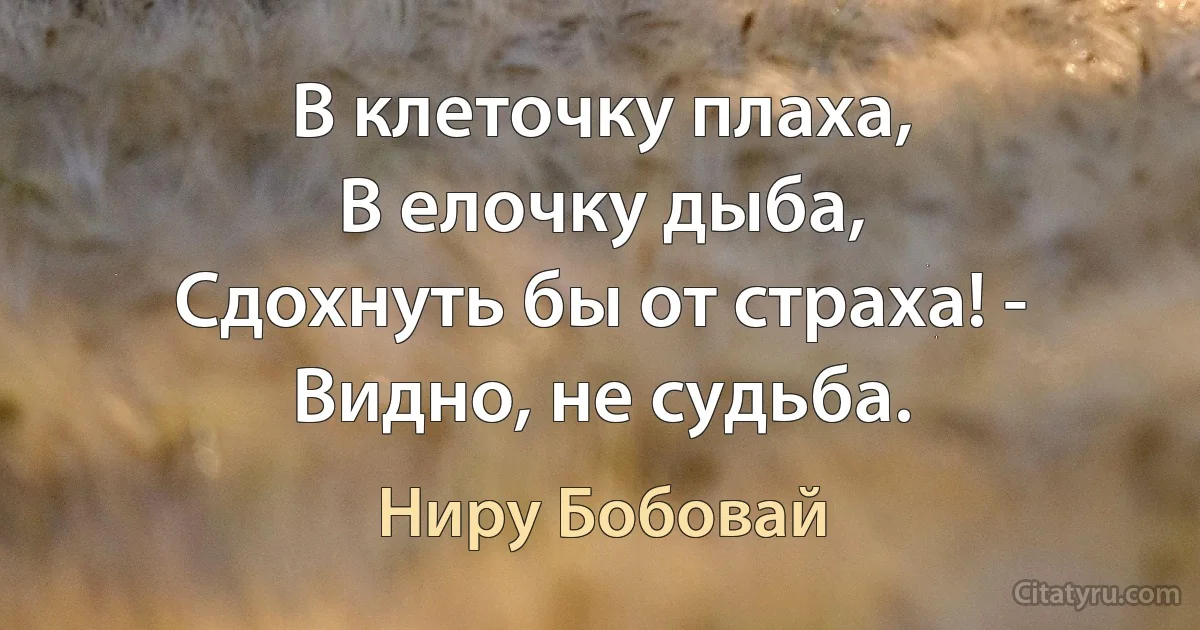 В клеточку плаха,
В елочку дыба,
Сдохнуть бы от страха! -
Видно, не судьба. (Ниру Бобовай)