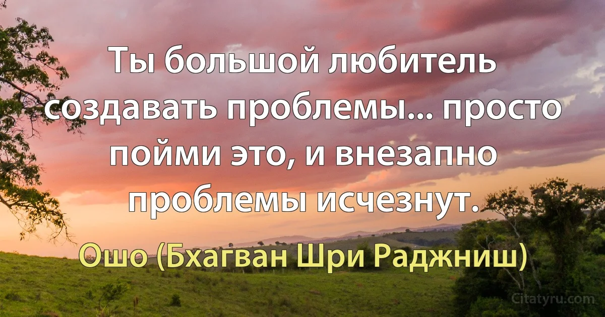 Ты большой любитель создавать проблемы... просто пойми это, и внезапно проблемы исчезнут. (Ошо (Бхагван Шри Раджниш))