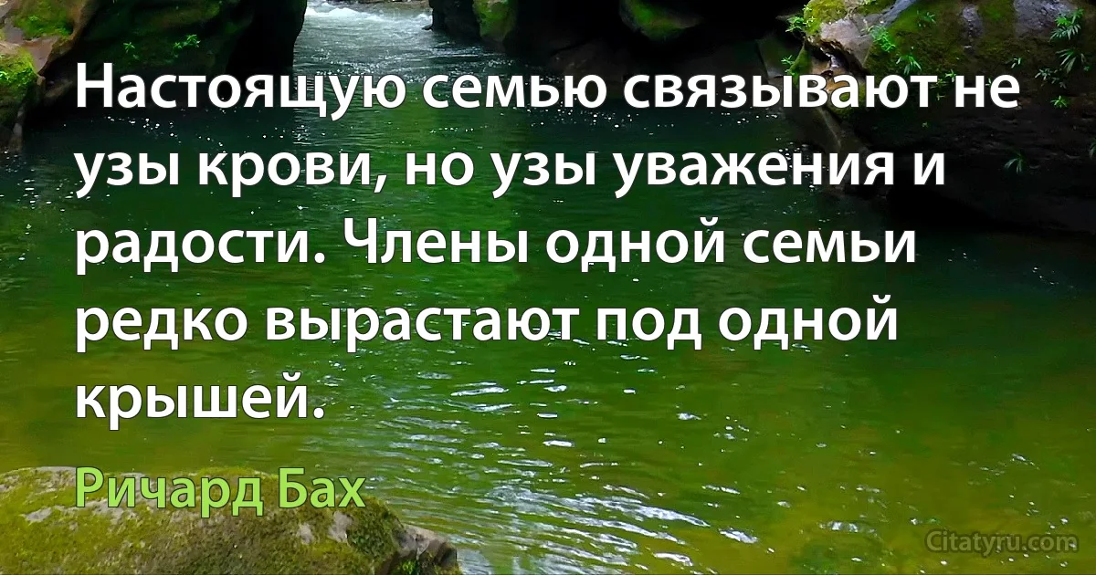 Настоящую семью связывают не узы крови, но узы уважения и радости. Члены одной семьи редко вырастают под одной крышей. (Ричард Бах)