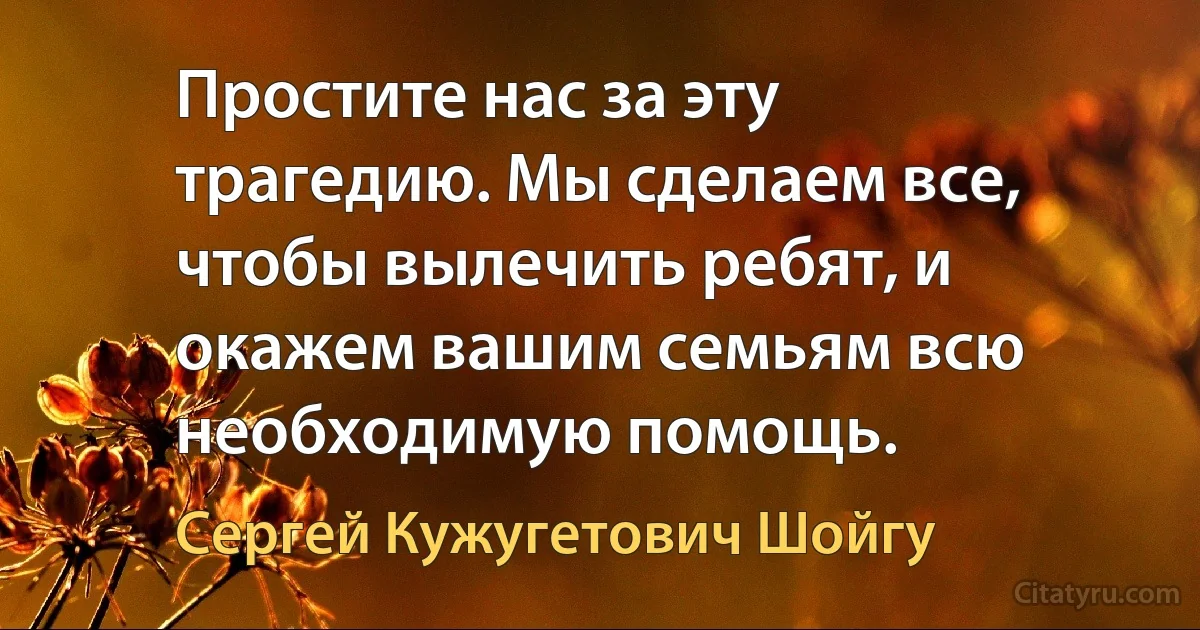 Простите нас за эту трагедию. Мы сделаем все, чтобы вылечить ребят, и окажем вашим семьям всю необходимую помощь. (Сергей Кужугетович Шойгу)