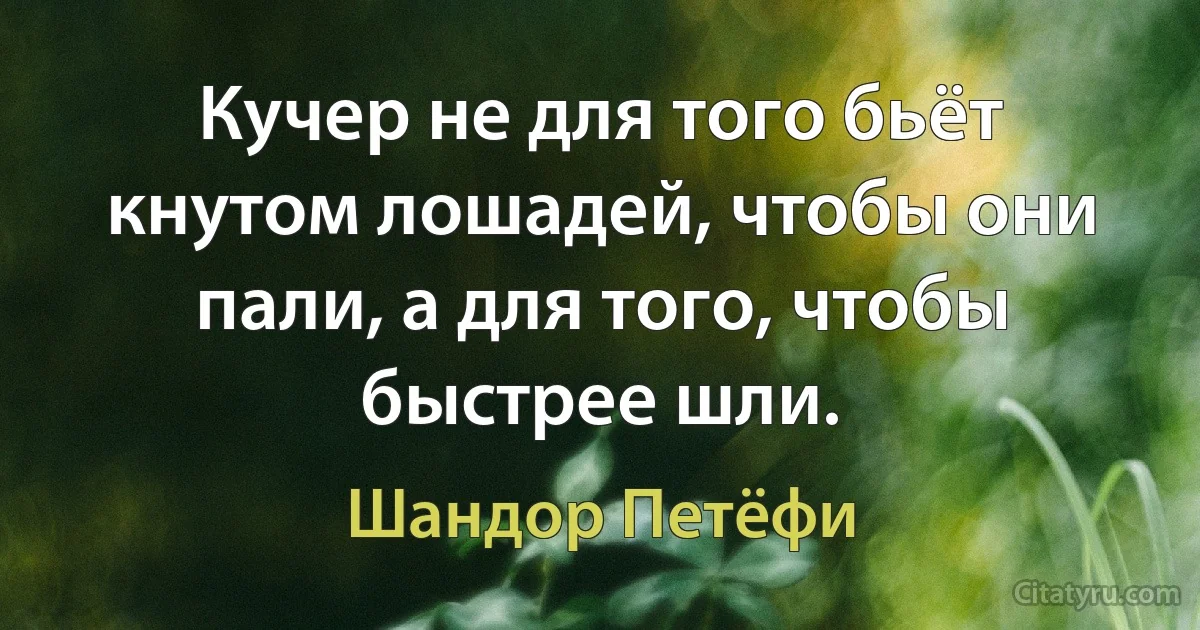 Кучер не для того бьёт кнутом лошадей, чтобы они пали, а для того, чтобы быстрее шли. (Шандор Петёфи)