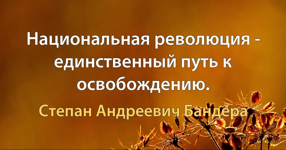 Национальная революция - единственный путь к освобождению. (Степан Андреевич Бандера)