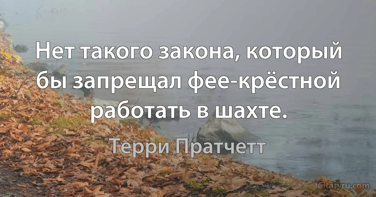 Нет такого закона, который бы запрещал фее-крёстной работать в шахте. (Терри Пратчетт)