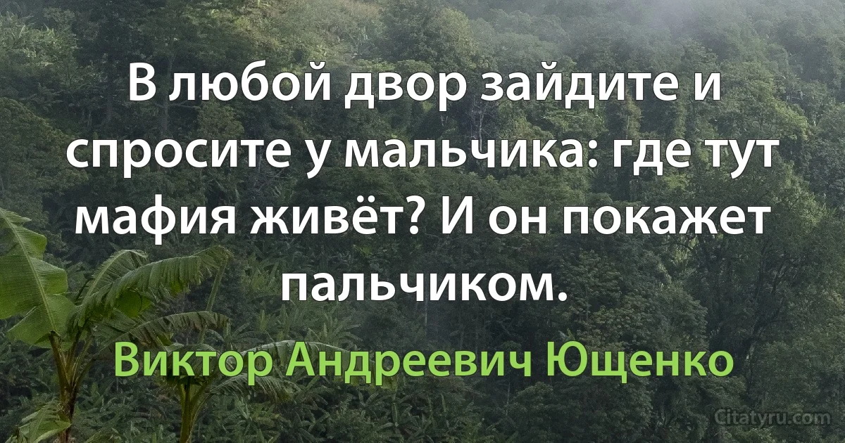 В любой двор зайдите и спросите у мальчика: где тут мафия живёт? И он покажет пальчиком. (Виктор Андреевич Ющенко)