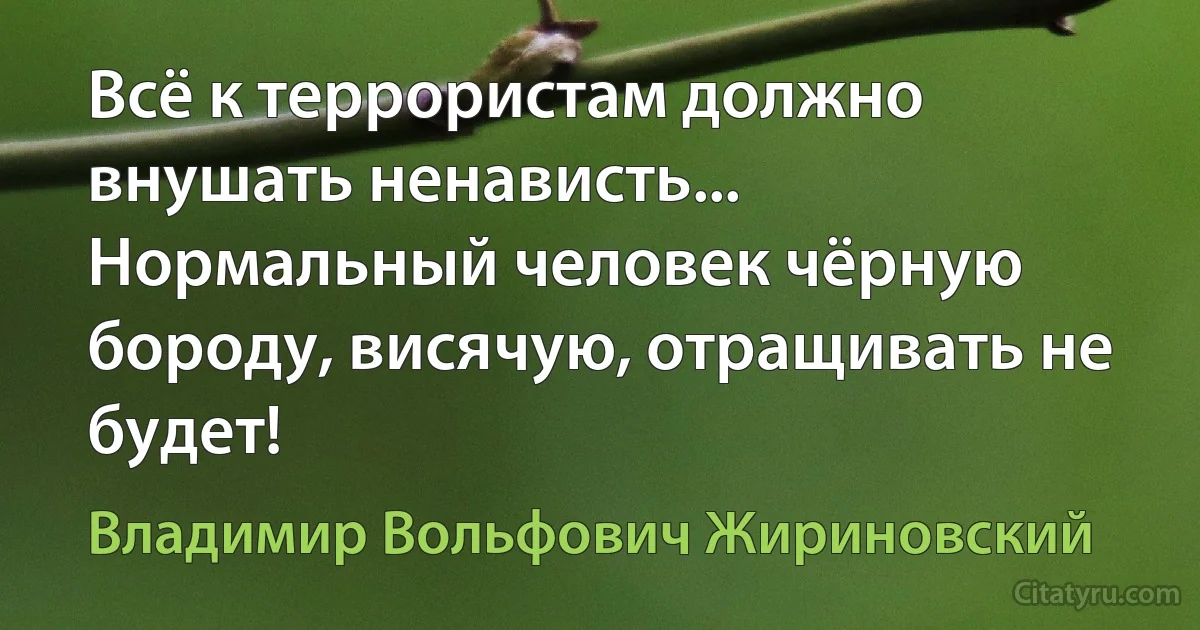 Всё к террористам должно внушать ненависть... Нормальный человек чёрную бороду, висячую, отращивать не будет! (Владимир Вольфович Жириновский)