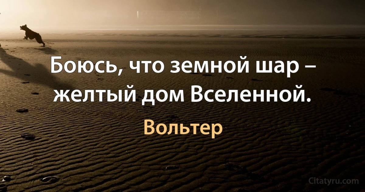 Боюсь, что земной шар – желтый дом Вселенной. (Вольтер)