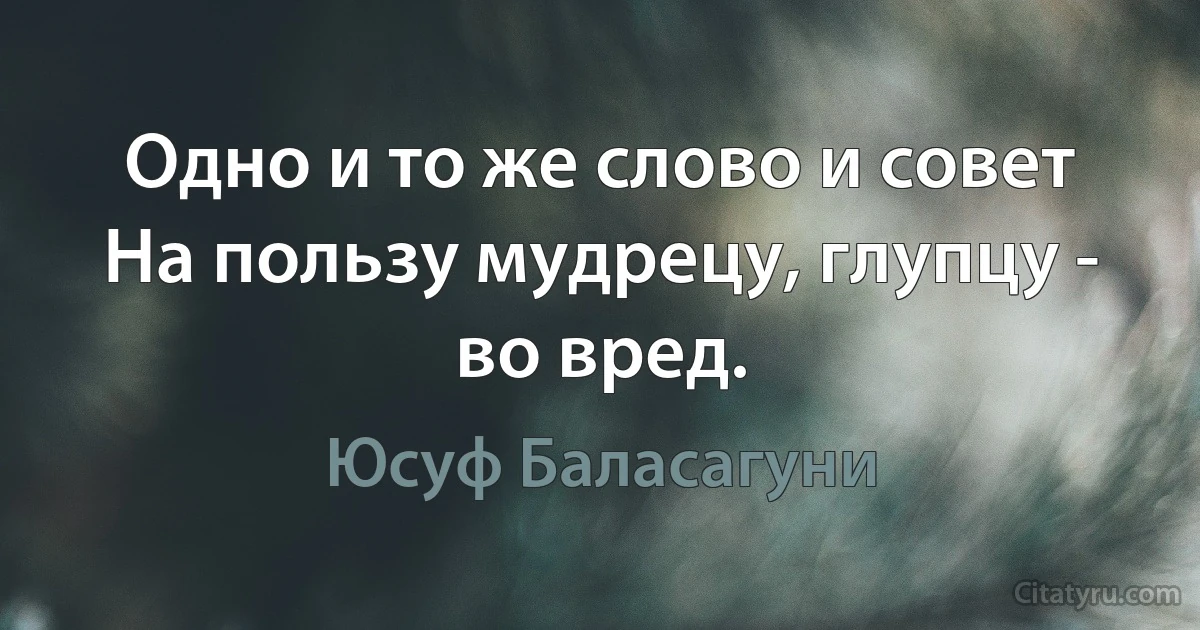 Одно и то же слово и совет
На пользу мудрецу, глупцу - во вред. (Юсуф Баласагуни)