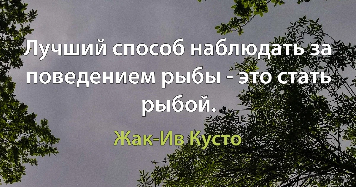 Лучший способ наблюдать за поведением рыбы - это стать рыбой. (Жак-Ив Кусто)