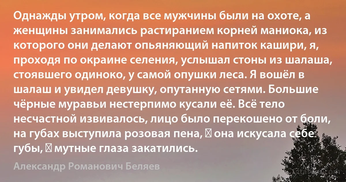 Однажды утром, когда все мужчины были на охоте, а женщины занимались растиранием корней маниока, из которого они делают опьяняющий напиток кашири, я, проходя по окраине селения, услышал стоны из шалаша, стоявшего одиноко, у самой опушки леса. Я вошёл в шалаш и увидел девушку, опутанную сетями. Большие чёрные муравьи нестерпимо кусали её. Всё тело несчастной извивалось, лицо было перекошено от боли, на губах выступила розовая пена, ― она искусала себе губы, ― мутные глаза закатились. (Александр Романович Беляев)