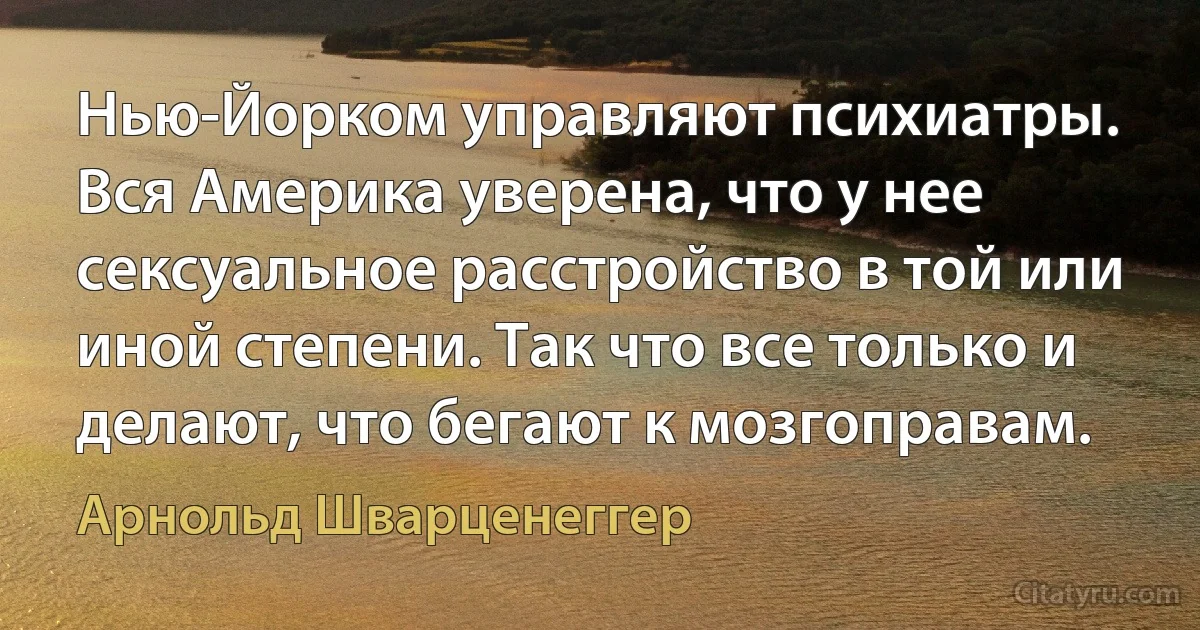 Нью-Йорком управляют психиатры. Вся Америка уверена, что у нее сексуальное расстройство в той или иной степени. Так что все только и делают, что бегают к мозгоправам. (Арнольд Шварценеггер)