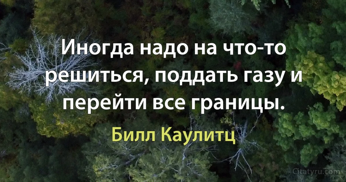 Иногда надо на что-то решиться, поддать газу и перейти все границы. (Билл Каулитц)