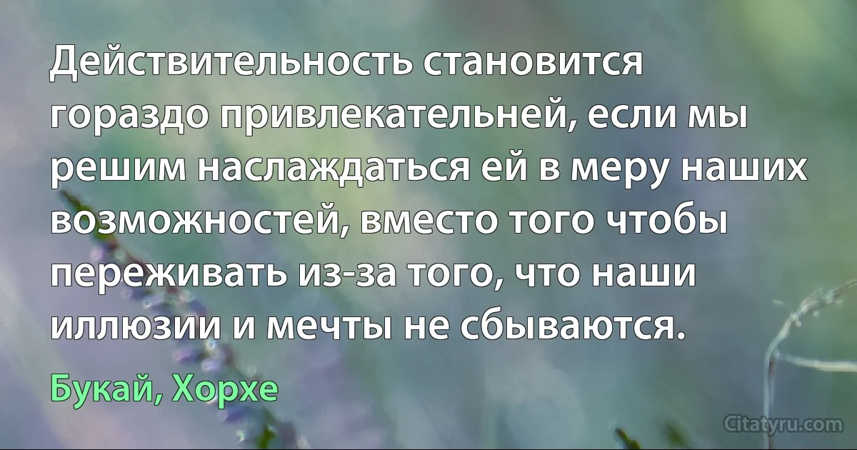 Действительность становится гораздо привлекательней, если мы решим наслаждаться ей в меру наших возможностей, вместо того чтобы переживать из-за того, что наши иллюзии и мечты не сбываются. (Букай, Хорхе)