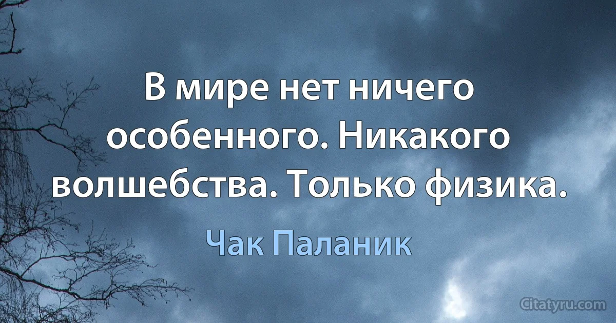 В мире нет ничего особенного. Никакого волшебства. Только физика. (Чак Паланик)