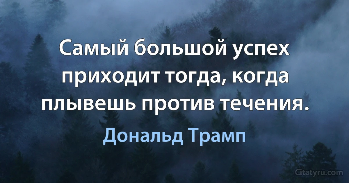 Самый большой успех приходит тогда, когда плывешь против течения. (Дональд Трамп)