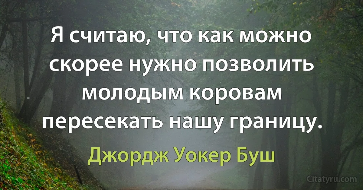 Я считаю, что как можно скорее нужно позволить молодым коровам пересекать нашу границу. (Джордж Уокер Буш)