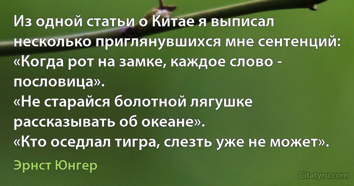 Из одной статьи о Китае я выписал несколько приглянувшихся мне сентенций:
«Когда рот на замке, каждое слово - пословица».
«Не старайся болотной лягушке рассказывать об океане».
«Кто оседлал тигра, слезть уже не может». (Эрнст Юнгер)