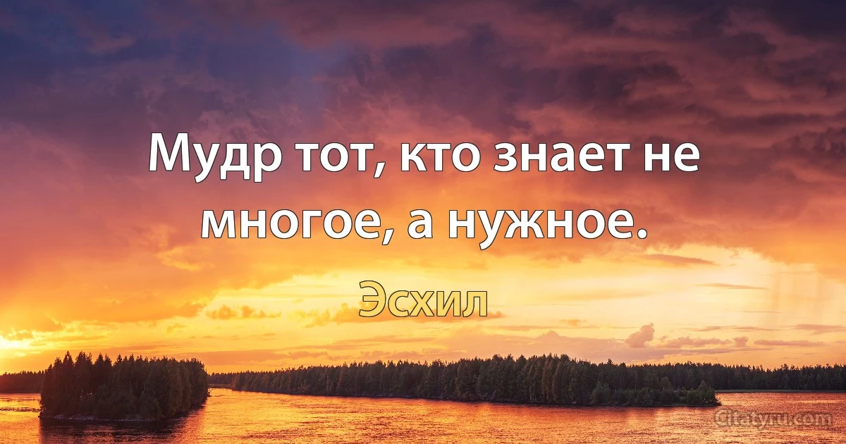 Мудр тот, кто знает не многое, а нужное. (Эсхил)