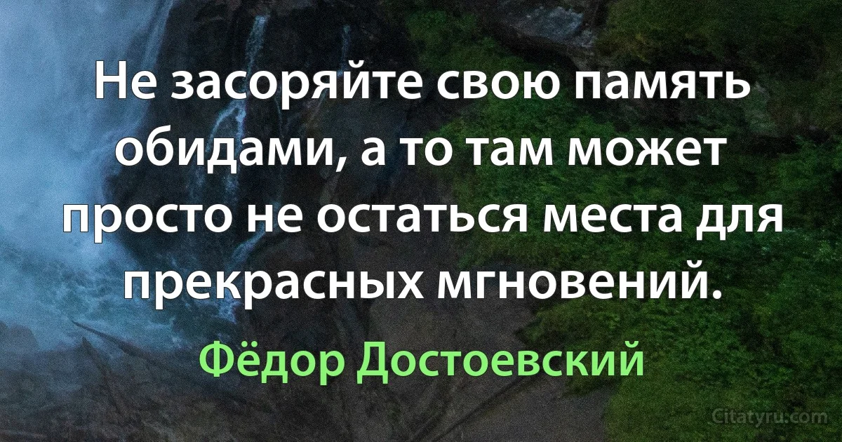 Не засоряйте свою память обидами, а то там может просто не остаться места для прекрасных мгновений. (Фёдор Достоевский)