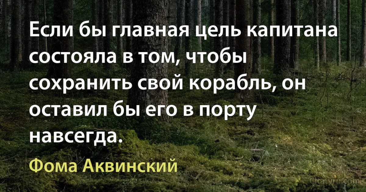 Если бы главная цель капитана состояла в том, чтобы сохранить свой корабль, он оставил бы его в порту навсегда. (Фома Аквинский)