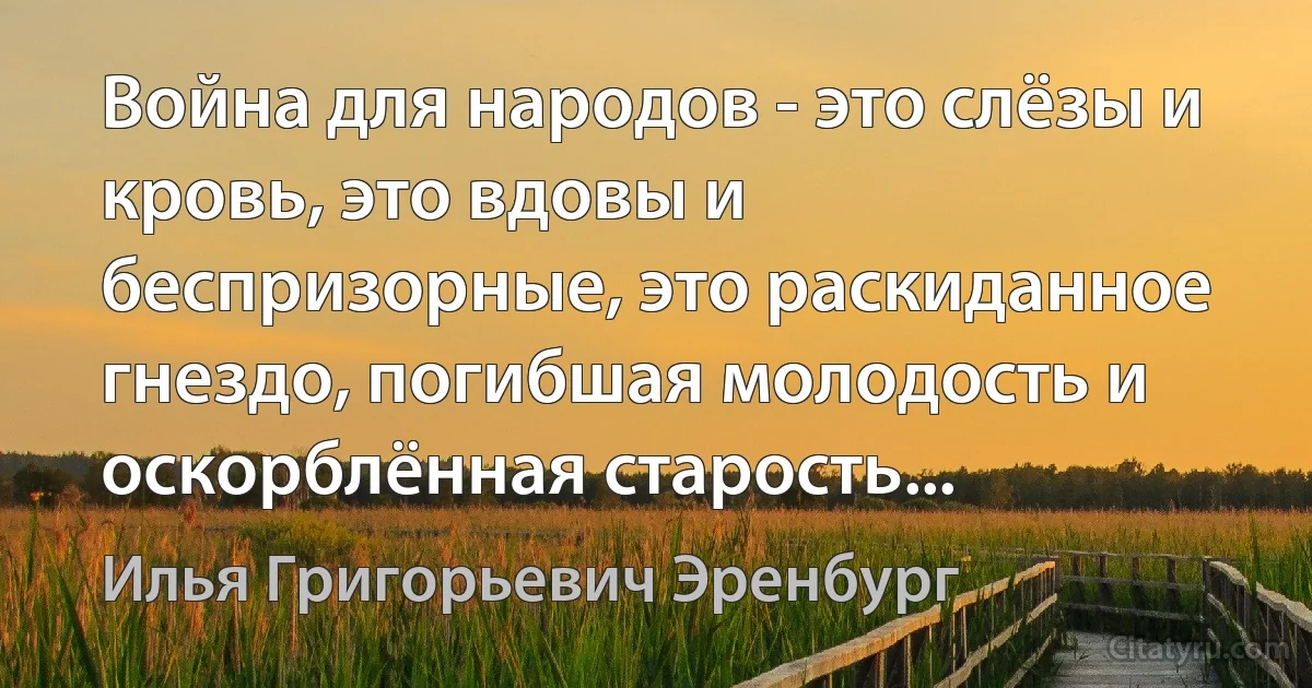 Война для народов - это слёзы и кровь, это вдовы и беспризорные, это раскиданное гнездо, погибшая молодость и оскорблённая старость... (Илья Григорьевич Эренбург)