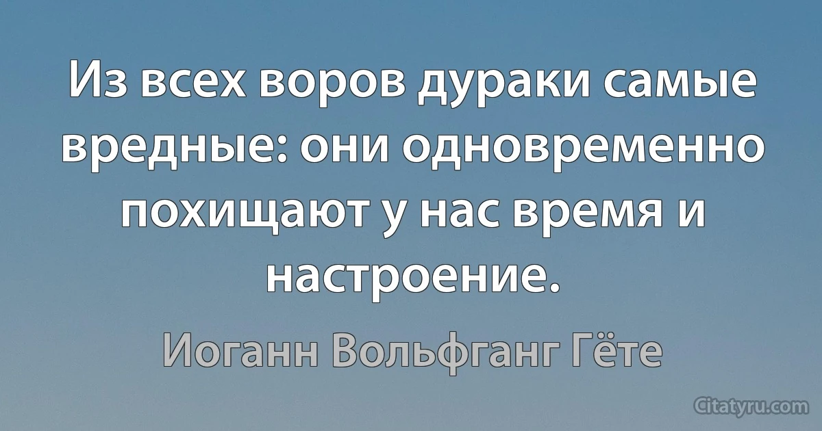 Из всех воров дураки самые вредные: они одновременно похищают у нас время и настроение. (Иоганн Вольфганг Гёте)