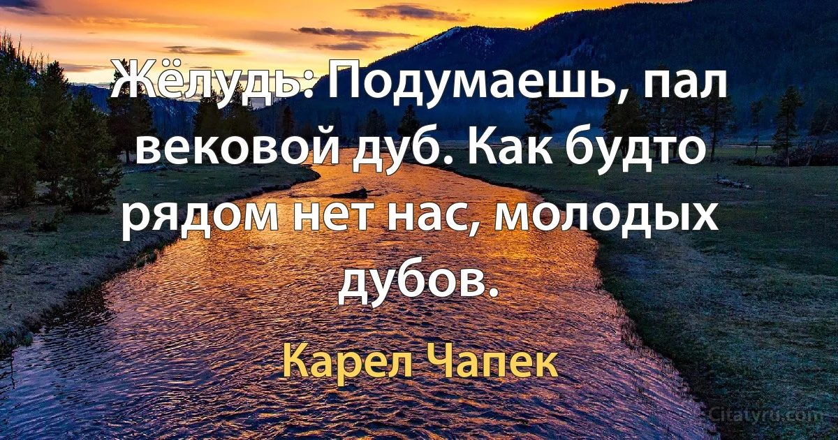 Жёлудь: Подумаешь, пал вековой дуб. Как будто рядом нет нас, молодых дубов. (Карел Чапек)