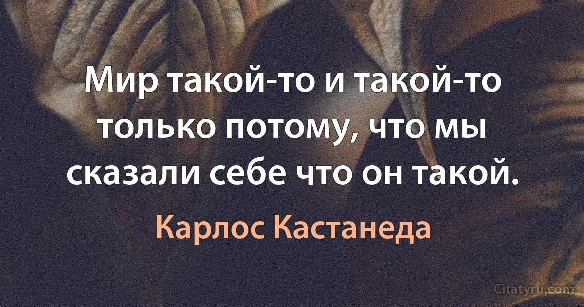 Мир такой-то и такой-то только потому, что мы сказали себе что он такой. (Карлос Кастанеда)