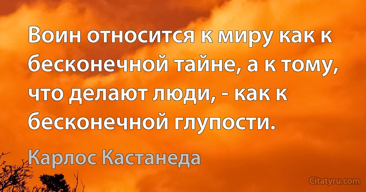 Воин относится к миру как к бесконечной тайне, а к тому, что делают люди, - как к бесконечной глупости. (Карлос Кастанеда)