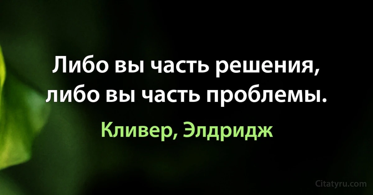 Либо вы часть решения, либо вы часть проблемы. (Кливер, Элдридж)