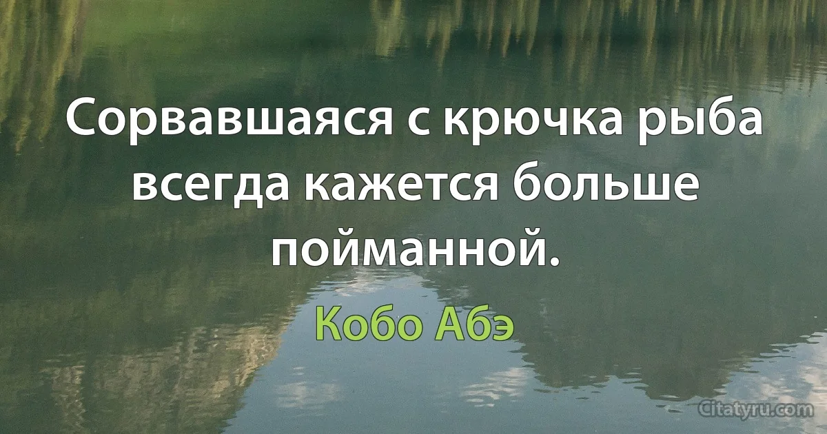 Сорвавшаяся с крючка рыба всегда кажется больше пойманной. (Кобо Абэ)