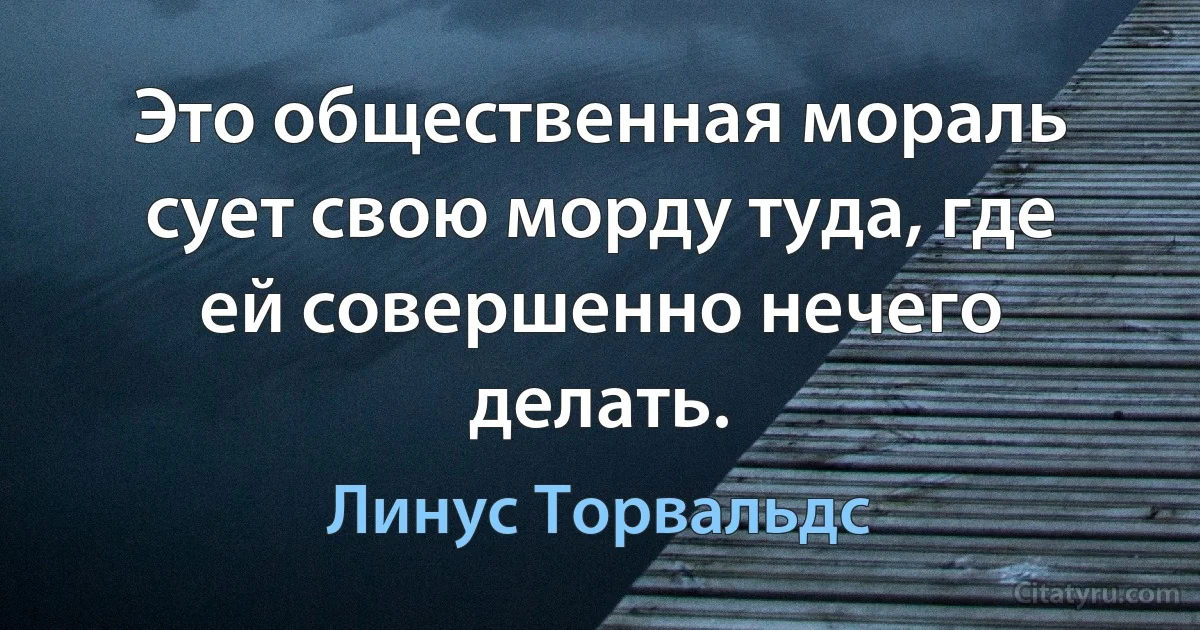 Это общественная мораль сует свою морду туда, где ей совершенно нечего делать. (Линус Торвальдс)