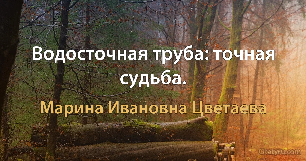 Водосточная труба: точная судьба. (Марина Ивановна Цветаева)