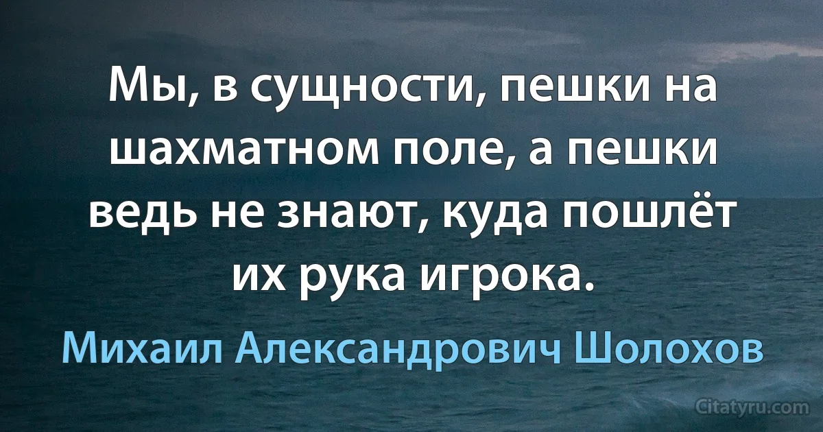 Мы, в сущности, пешки на шахматном поле, а пешки ведь не знают, куда пошлёт их рука игрока. (Михаил Александрович Шолохов)